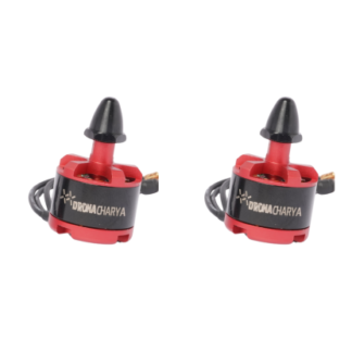 CW Motor (Clockwise Motor)